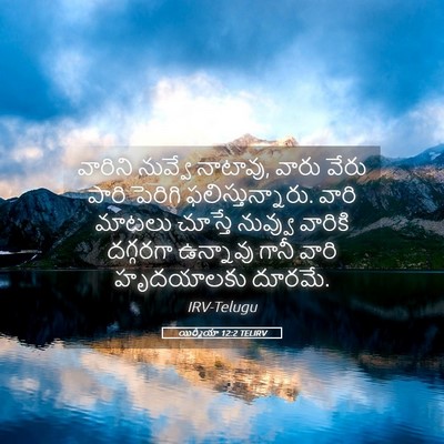 Picture 05 - యిర్మీయా 12:2 TELIRV - వారిని నువ్వే - Bible Verse Picture
