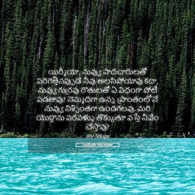 Picture 05 - యిర్మీయా 12:5 TELIRV - యిర్మీయా, నువ్వు - Bible Verse Picture