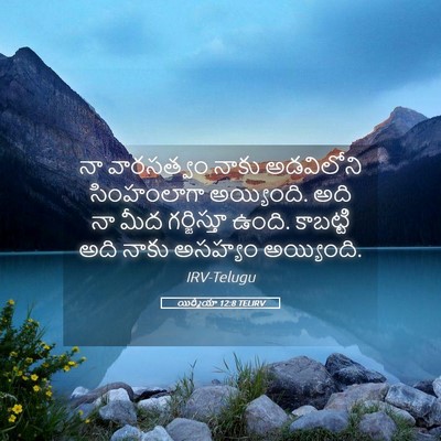 Picture 05 - యిర్మీయా 12:8 TELIRV - నా వారసత్వం నాకు - Bible Verse Picture