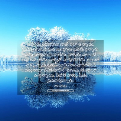 Picture 05 - యిర్మీయా 14:14 TELIRV - అప్పుడు యెహోవా - Bible Verse Picture
