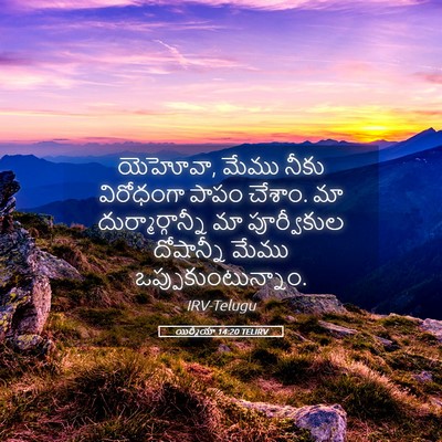 Picture 05 - యిర్మీయా 14:20 TELIRV - యెహోవా, మేము నీకు - Bible Verse Picture