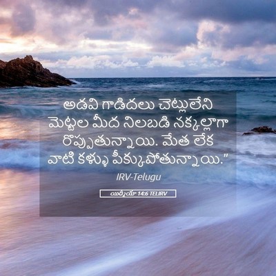 Picture 05 - యిర్మీయా 14:6 TELIRV - అడవి గాడిదలు - Bible Verse Picture