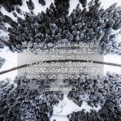 Picture 05 - యిర్మీయా 15:20 TELIRV - నేను నిన్ను ఈ - Bible Verse Picture