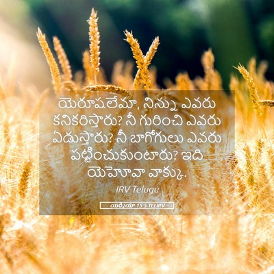 Picture 05 - యిర్మీయా 15:5 TELIRV - యెరూషలేమా, నిన్ను - Bible Verse Picture