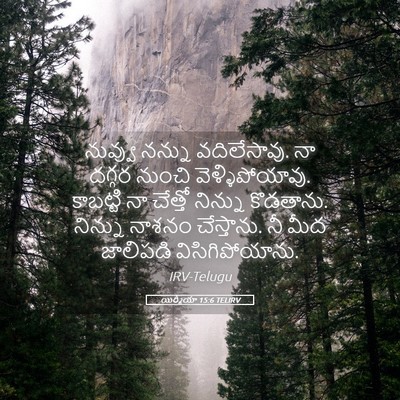 Picture 05 - యిర్మీయా 15:6 TELIRV - నువ్వు నన్ను - Bible Verse Picture