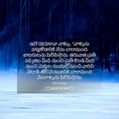Picture 05 - యిర్మీయా 16:16 TELIRV - ఇదే యెహోవా వాక్కు. - Bible Verse Picture