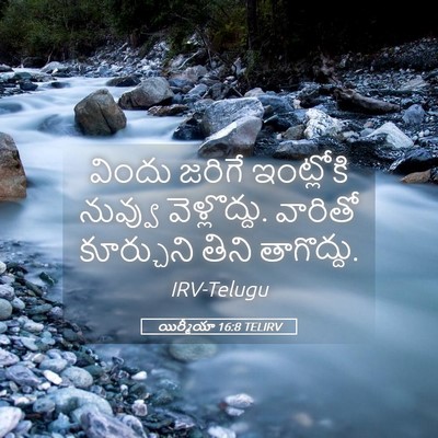 Picture 05 - యిర్మీయా 16:8 TELIRV - విందు జరిగే - Bible Verse Picture