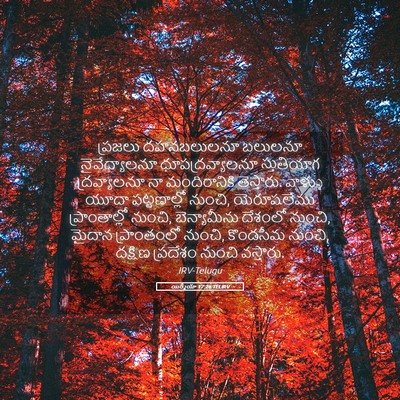 Picture 05 - యిర్మీయా 17:26 TELIRV - ప్రజలు దహనబలులనూ - Bible Verse Picture
