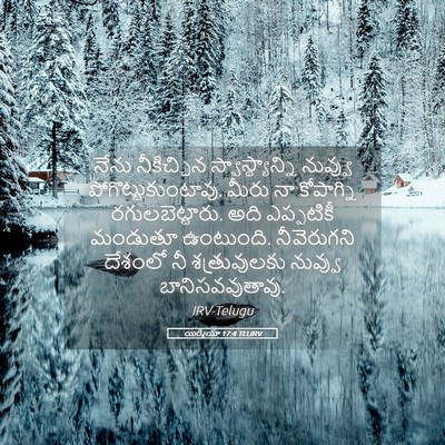 Picture 05 - యిర్మీయా 17:4 TELIRV - నేను నీకిచ్చిన - Bible Verse Picture
