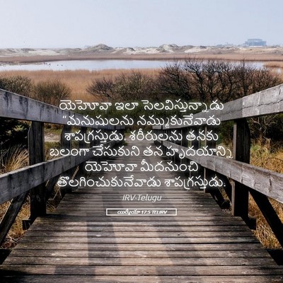 Picture 05 - యిర్మీయా 17:5 TELIRV - యెహోవా ఇలా - Bible Verse Picture