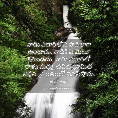 Picture 05 - యిర్మీయా 17:6 TELIRV - వాడు ఎడారిలోని - Bible Verse Picture
