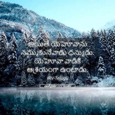 Picture 05 - యిర్మీయా 17:7 TELIRV - అయితే యెహోవాను - Bible Verse Picture