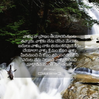 Picture 05 - యిర్మీయా 18:20 TELIRV - వాళ్ళు నా ప్రాణం - Bible Verse Picture