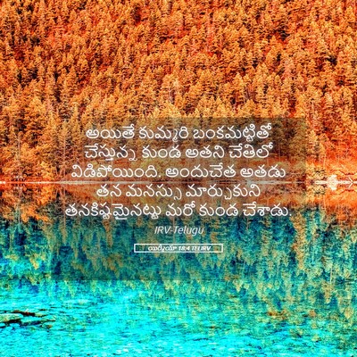 Picture 05 - యిర్మీయా 18:4 TELIRV - అయితే కుమ్మరి - Bible Verse Picture