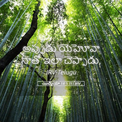 Picture 05 - యిర్మీయా 18:5 TELIRV - అప్పుడు యెహోవా - Bible Verse Picture