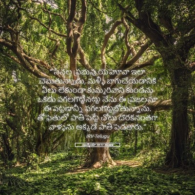 Picture 05 - యిర్మీయా 19:11 TELIRV - “సేనల ప్రభువు - Bible Verse Picture