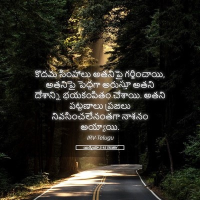 Picture 05 - యిర్మీయా 2:15 TELIRV - కొదమ సింహాలు - Bible Verse Picture