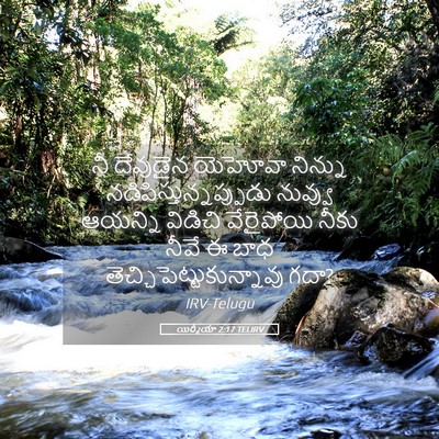 Picture 05 - యిర్మీయా 2:17 TELIRV - నీ దేవుడైన యెహోవా - Bible Verse Picture