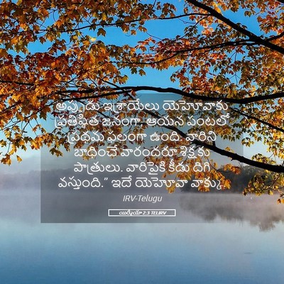 Picture 05 - యిర్మీయా 2:3 TELIRV - అప్పుడు ఇశ్రాయేలు - Bible Verse Picture