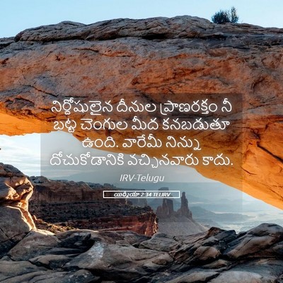 Picture 05 - యిర్మీయా 2:34 TELIRV - నిర్దోషులైన దీనుల - Bible Verse Picture