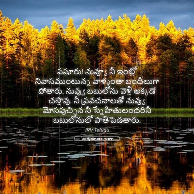 Picture 05 - యిర్మీయా 20:6 TELIRV - పషూరు! నువ్వూ నీ - Bible Verse Picture