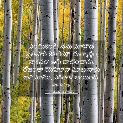 Picture 05 - యిర్మీయా 20:8 TELIRV - ఎందుకంటే నేను - Bible Verse Picture