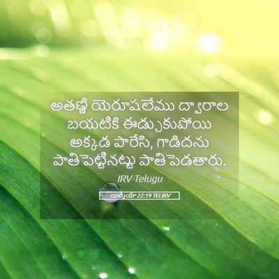 Picture 05 - యిర్మీయా 22:19 TELIRV - అతణ్ణి యెరూషలేము - Bible Verse Picture