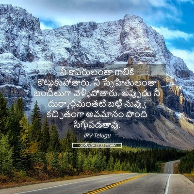 Picture 05 - యిర్మీయా 22:22 TELIRV - నీ కాపరులంతా - Bible Verse Picture
