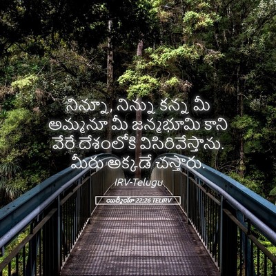 Picture 05 - యిర్మీయా 22:26 TELIRV - నిన్నూ, నిన్ను - Bible Verse Picture
