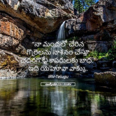 Picture 05 - యిర్మీయా 23:1 TELIRV - “నా మందలో చేరిన - Bible Verse Picture