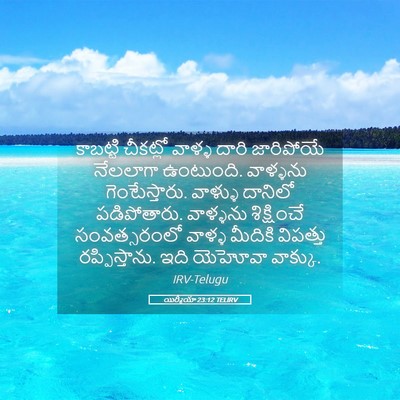 Picture 05 - యిర్మీయా 23:12 TELIRV - కాబట్టి చీకట్లో - Bible Verse Picture