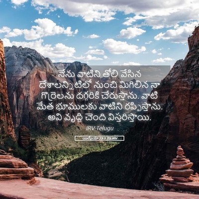 Picture 05 - యిర్మీయా 23:3 TELIRV - నేను వాటిని తోలి - Bible Verse Picture