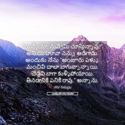 Picture 05 - యిర్మీయా 24:3 TELIRV - “యిర్మీయా! - Bible Verse Picture