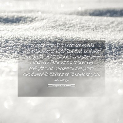 Picture 05 - యిర్మీయా 24:8 TELIRV - “యూదా రాజు - Bible Verse Picture