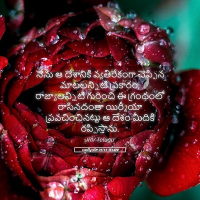 Picture 05 - యిర్మీయా 25:13 TELIRV - నేను ఆ దేశానికి - Bible Verse Picture