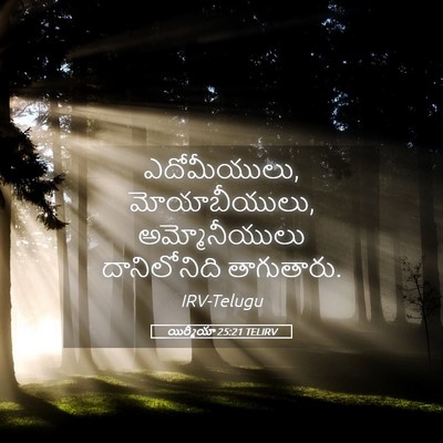 Picture 05 - యిర్మీయా 25:21 TELIRV - ఎదోమీయులు, - Bible Verse Picture