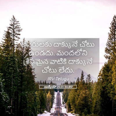 Picture 05 - యిర్మీయా 25:35 TELIRV - కాపరులకు దాక్కునే - Bible Verse Picture