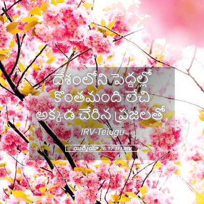 Picture 05 - యిర్మీయా 26:17 TELIRV - దేశంలోని - Bible Verse Picture