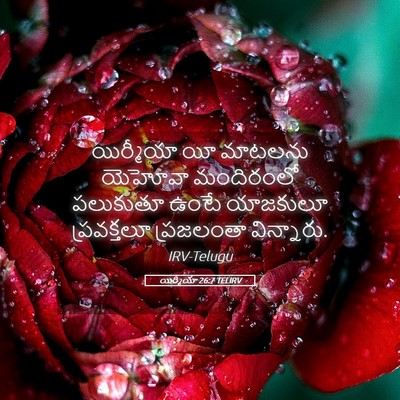 Picture 05 - యిర్మీయా 26:7 TELIRV - యిర్మీయా యీ - Bible Verse Picture