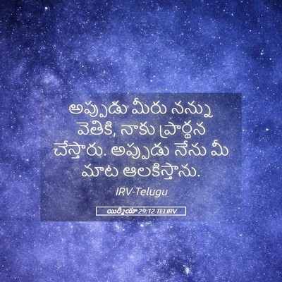 Picture 05 - యిర్మీయా 29:12 TELIRV - అప్పుడు మీరు - Bible Verse Picture