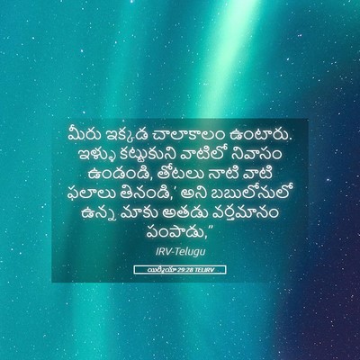 Picture 05 - యిర్మీయా 29:28 TELIRV - మీరు ఇక్కడ - Bible Verse Picture