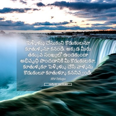 Picture 05 - యిర్మీయా 29:6 TELIRV - పెళ్ళిళ్ళు - Bible Verse Picture