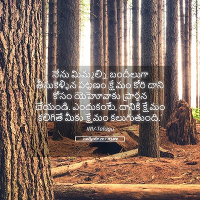Picture 05 - యిర్మీయా 29:7 TELIRV - నేను మిమ్మల్ని - Bible Verse Picture