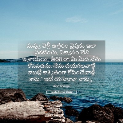 Picture 05 - యిర్మీయా 3:12 TELIRV - నువ్వు వెళ్లి - Bible Verse Picture