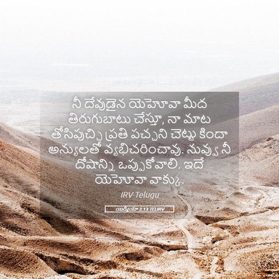 Picture 05 - యిర్మీయా 3:13 TELIRV - నీ దేవుడైన యెహోవా - Bible Verse Picture
