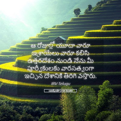 Picture 05 - యిర్మీయా 3:18 TELIRV - ఆ రోజుల్లో యూదా - Bible Verse Picture