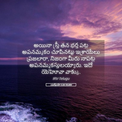 Picture 05 - యిర్మీయా 3:20 TELIRV - అయినా స్త్రీ తన - Bible Verse Picture
