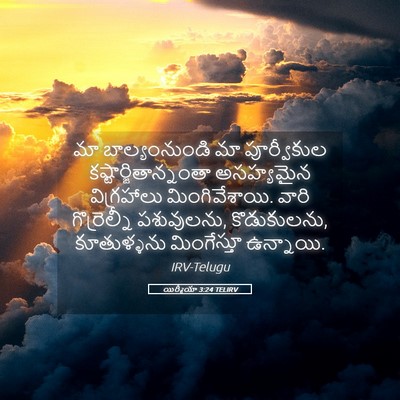 Picture 05 - యిర్మీయా 3:24 TELIRV - మా బాల్యంనుండి మా - Bible Verse Picture