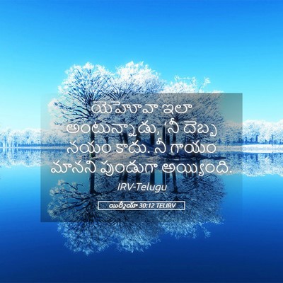 Picture 05 - యిర్మీయా 30:12 TELIRV - యెహోవా ఇలా - Bible Verse Picture