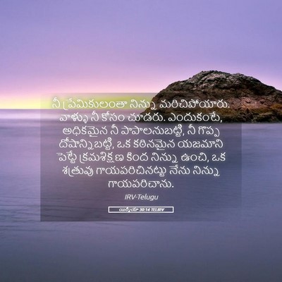 Picture 05 - యిర్మీయా 30:14 TELIRV - నీ ప్రేమికులంతా - Bible Verse Picture